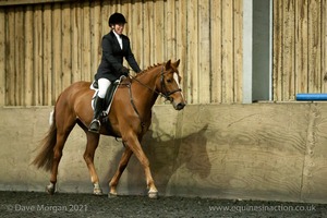 Isis Dressage Crown Farm Show 29th April 2012